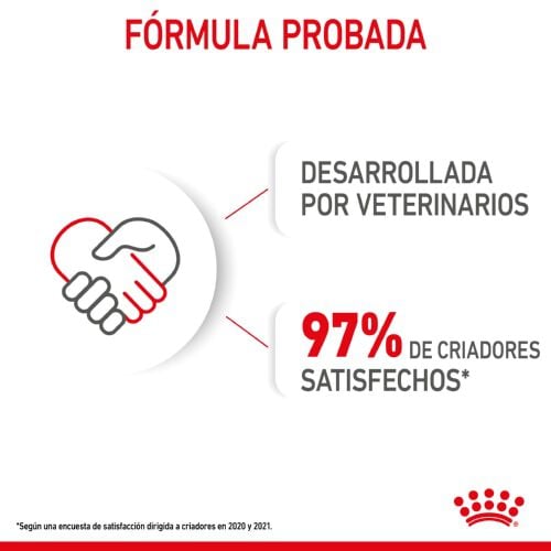 195 g Royal Canin Starter Mommy & Baby mousse latas para perros, , large indicador imagen numero 8